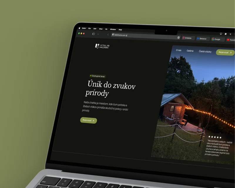stelinhome_web1.png