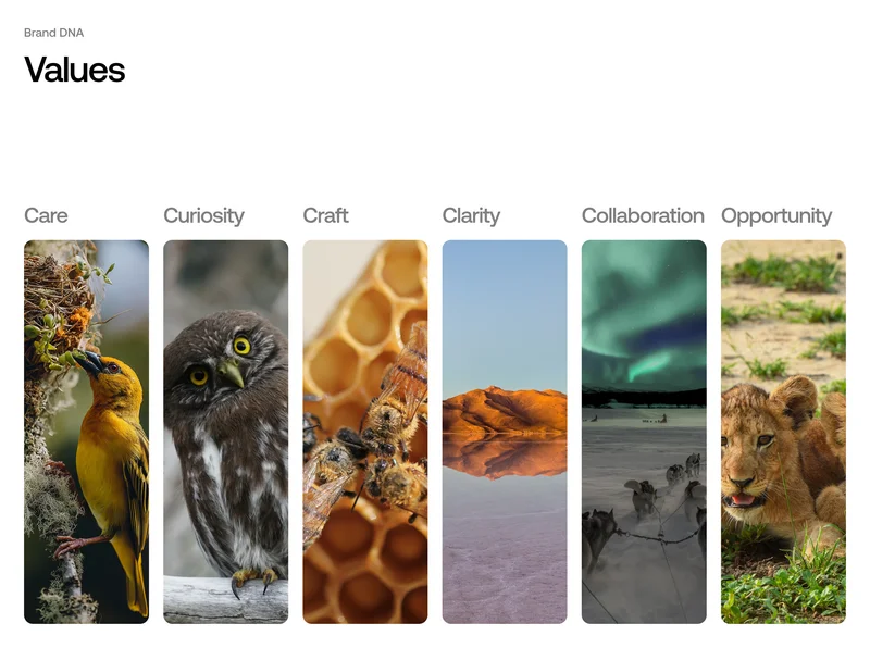 wezeo_design-1.png